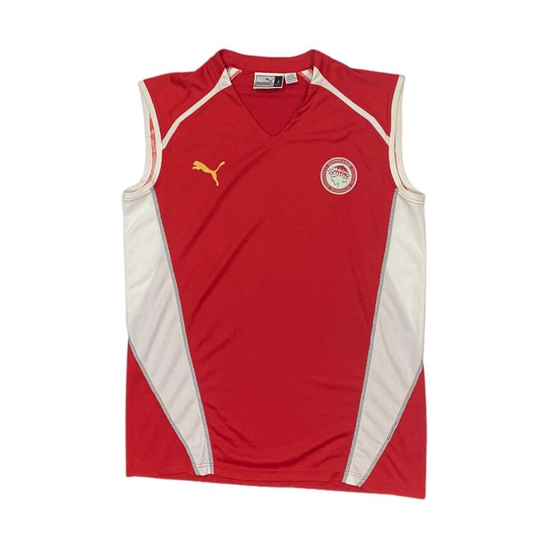 Camiseta Training Olympiacos Puma 2012-2013 L